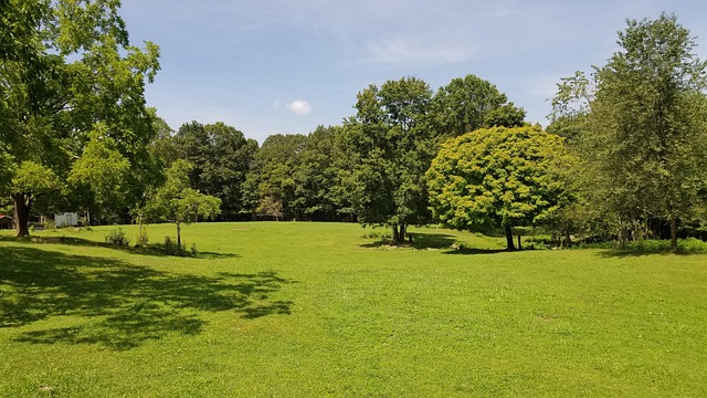 Menyusun Aktivitas Tanpa Rasa Dikejar